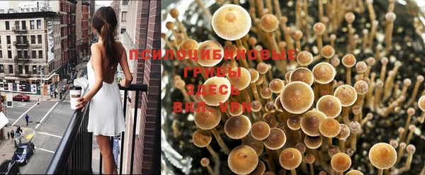 мет Балахна