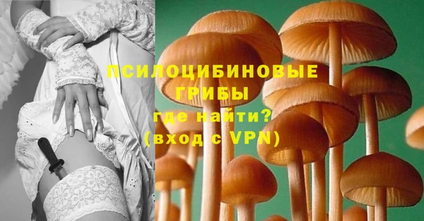 гидра Баксан